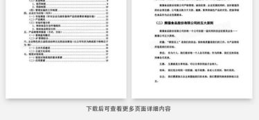 食品公司營(yíng)銷策劃書Word模板下載指南